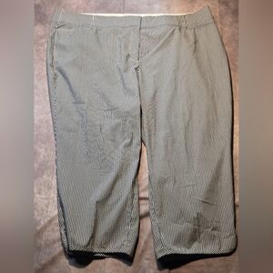 Lane Bryant The Allie Capri Pants Stretch Flat Front Striped Blue White Sz 26